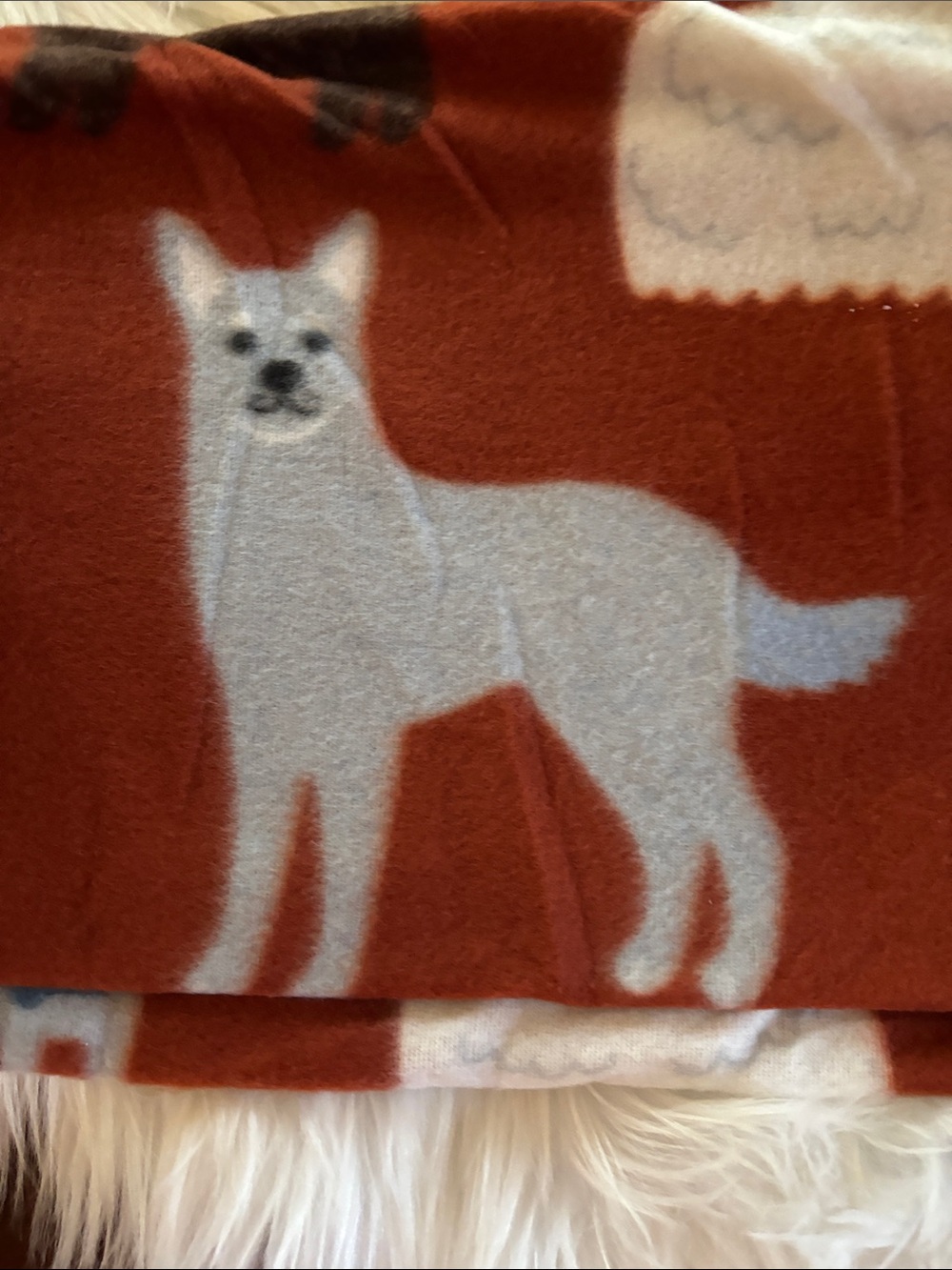 NWT Plush Rust Orange Dog Print Throw Blanket 50 X 60 - Picture 7 of 16